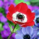 Oviya Fashion Academy BSc Tuition institute in Chennai