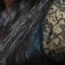 Photo of Preeti P.