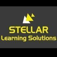 Stellar Learning Solutions CSIR NET institute in Delhi