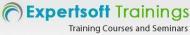 Expertsoft Trainings SAP institute in Hyderabad