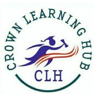 Crown Learning Hub Corporate institute in Delhi