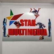 Star Multimedia Instititute Animation & Multimedia institute in Hyderabad