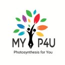 Myp4u photo