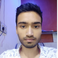 Ankit Ojha Class I-V Tuition trainer in Delhi