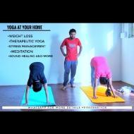 OJAS YOGA ACADEMY Yoga institute in Bangalore