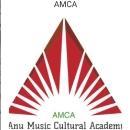 Anu Music cultural Academy photo