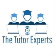 The Tutor Experts Class 12 Tuition institute in Noida