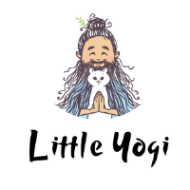 Little Yogi Aerobics institute in Bangalore