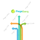 PegaGang photo