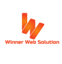 Winner Web Solution photo