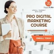 Satyam Kumar Digital Marketing trainer in Delhi