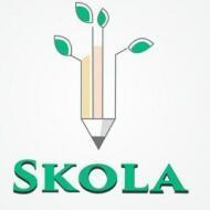 Skola Learning Pvt Ltd Engineering Diploma Tuition institute in Multan