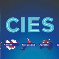 CIES IELTS institute in Noida