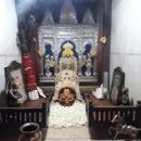 Photo of Shivalika S.