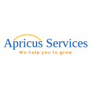Apricus BI Reporting institute in Bangalore