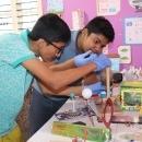 Photo of Drona Tutorials 