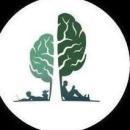 Salma Tuitions photo