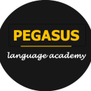 Pegasus Language Institute IT Courses institute in Gudivada