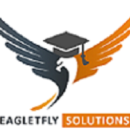 Eaglet Fly Solutions photo