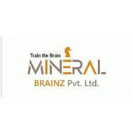 Mineral Brainz Pvt Ltd Chess institute in Ahmedabad