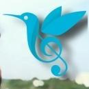 Photo of Humming Bird Music School Kodad