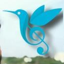 Humming Bird Music School photo