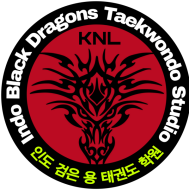 Indo Blackdragons Self Defence institute in Karnal