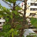 Matrusri Creations photo