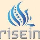 Risein Educational Academy photo