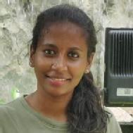 Introduction to Programming & Developer Roles