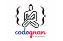 Codegnan Data Science institute in Vijayawada