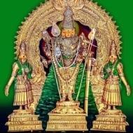 Kavithaprabhakaran Class 12 Tuition trainer in Chennai