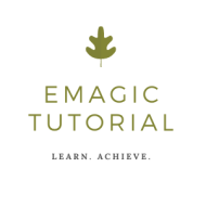 Emagic Tutorial Class 9 Tuition institute in Delhi