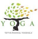 Tattva Rishikul Yogshala photo