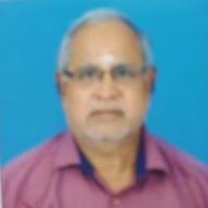 Venkataraman B Hindi Language trainer in Puduchatram