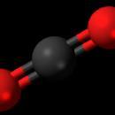 Pandian Biology Tutors trainer in Chennai