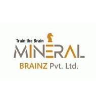 Mineral Brainz Pvt Ltd Chess institute in Vadodara