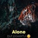 MSV Avocations Coaching Institutes for Class 12 institute in Noida