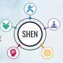 SHEN Research and Training Institute photo