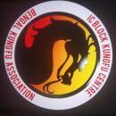 IC Block Kungfu Centre photo