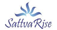 Sattva Rise Engineering Classes BTech Tuition institute in Pune