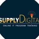 Supply Digital photo