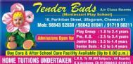 Tender Buds institute in Chennai