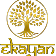 Ekayan Studio Yoga institute in Kapu