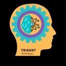 Trident Technologies photo