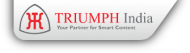 Triumph India Software Services Pvt. Ltd. institute in Bangalore