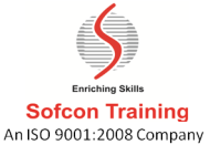 Sofcon India Pvt Ltd Ansys institute in Allahabad