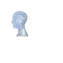 Depths of Yoga photo