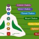 Photo of DIVINE TOUCH , REIKI , TAROT CARD READING , ASTROLOGY , NUMEROLOGY , RUNES , CRYSTALS , FAIRY , VASTU SHASTRA 