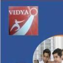 Photo of Vidya Student Development Programs